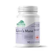 Ciuperca Coama Leului 500 mg (90 capsule), Provita Nutrition Ciuperca Coama Leului 500 mg (90 capsule), Provita Nutrition