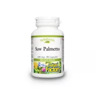 Saw Palmetto Forte Extract din fructe de palmier pitic 500 mg (90 capsule), Natural Factors
