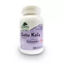 Gotu Kola 500 mg (120 capsule), Provita Nutrition