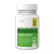 Orz verde bio 300mg (90 capsule vegane), Raab Vitalfood