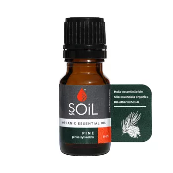 Ulei Esential Pin 100% Organic (10 ml), SOiL