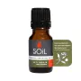 Ulei Esential Portocala Amara 100% Organic (10 ml), SOiL