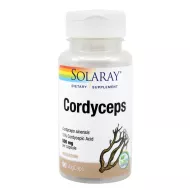 cordyceps pentru erecție)