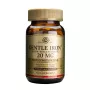 Gentle Iron 20mg (90 capsule), Solgar