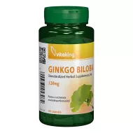 Extract de Ginkgo Biloba 120 mg cu absorbtie indelungata (60 capsule), Vitaking