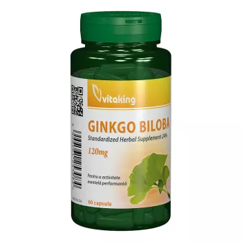 Extract de Ginkgo Biloba 120 mg cu absorbtie indelungata (60 capsule), Vitaking