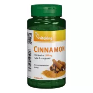 Extract de scortisoara 375 mg (90 capsule), Vitaking